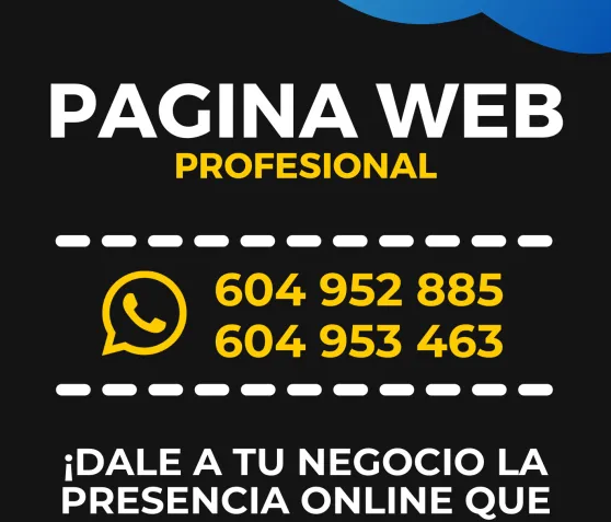 Pagina Web Profesional